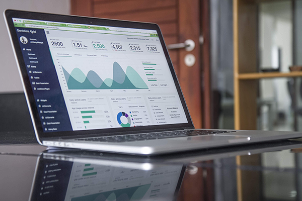 SEO Audit Data