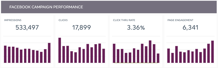 Paid Meta Campaign Performance for MedSpa