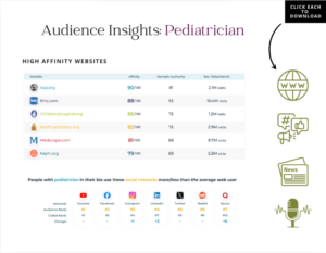 audience insights