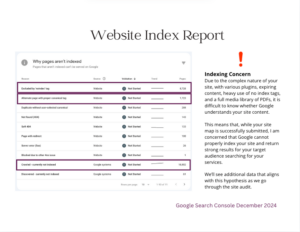 website index report