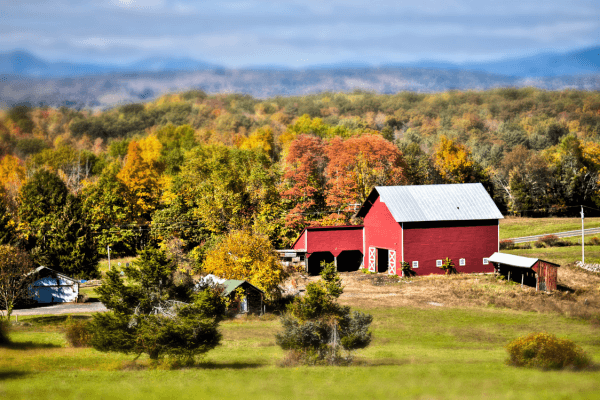 Selecting a Unique Agritourism Selling Point