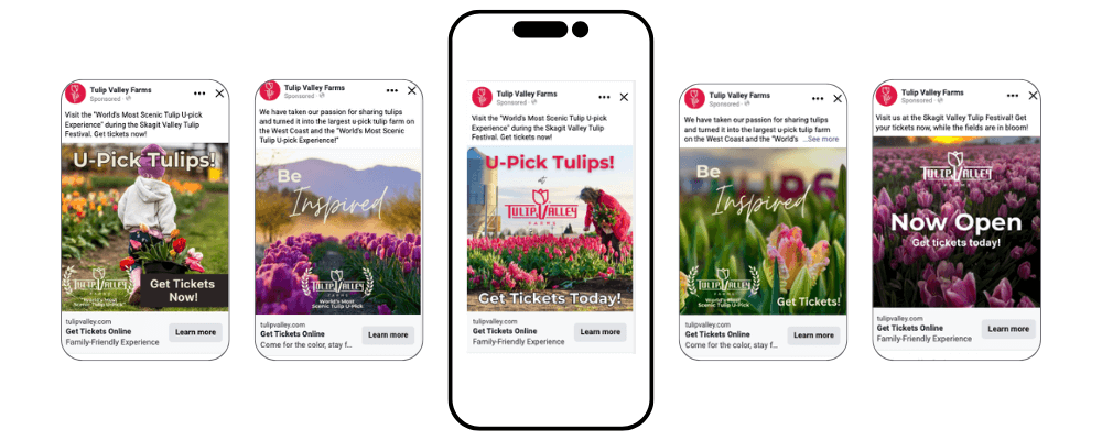 Tulip Valley Farms example