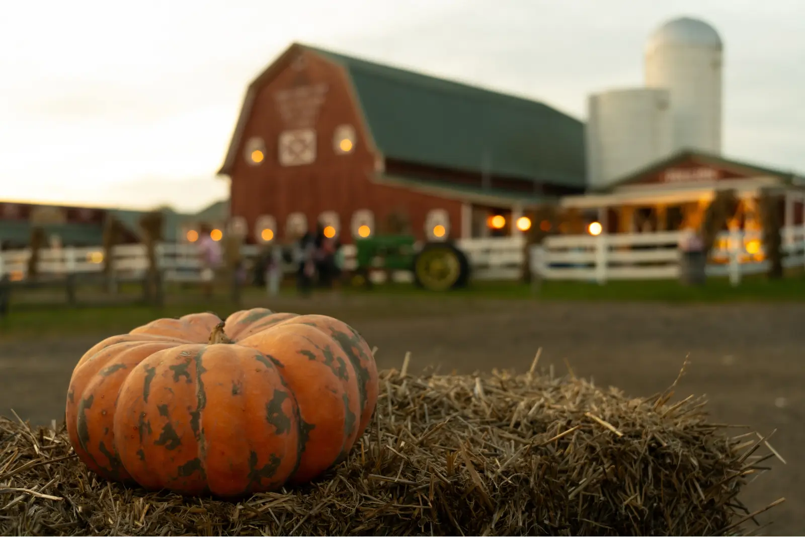 Pumkin Farm Marketing